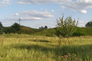 Archeologia i jej społeczna rola. Przykład działań realizowanych w Fordonie, dr Patryk Banasiak