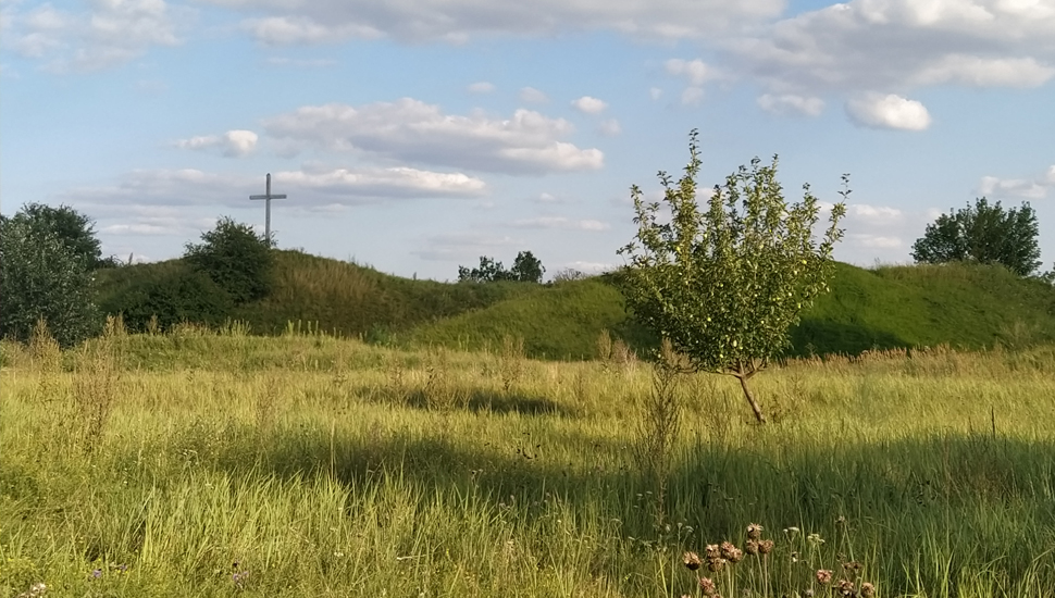 Archeologia i jej społeczna rola. Przykład działań realizowanych w Fordonie, dr Patryk Banasiak