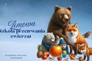 Zimowa szkoła przetrwania zwierząt – miniwykład i warsztaty recyklingowe