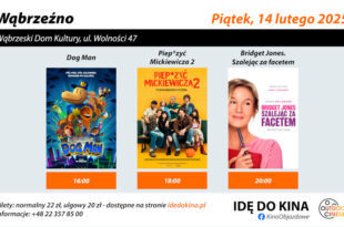 PROFESJONALNE KINO OBJAZDOWE – IDĘ DO KINA