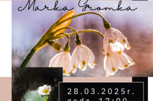 Wystawa fotografii Marka Gromka