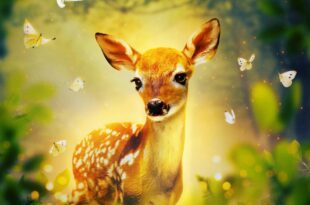Bambi. Opowieść leśna