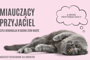 Miauczący przyjaciel, czyli dekoracja w duchu zero waste - warsztaty recyklingowe dla dorosłych!