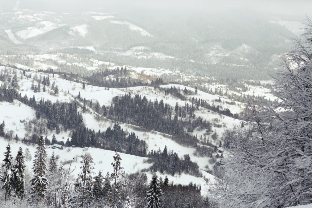 Klub Miłośników Podróży: Syberia, Korneliusz Korniluk