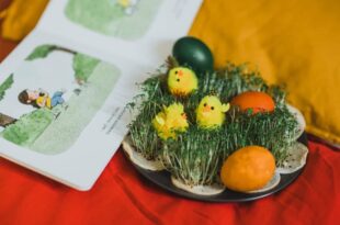 PISKLĘTA #CzyTamŚwiat. Sensoryczne spotkanie z książkami i najmłodszymi