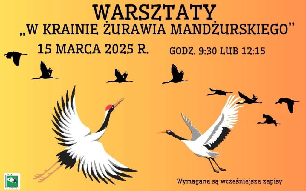 Warsztaty pn. „W krainie żurawia mandżurskiego”