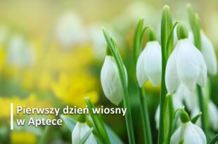 Pierwszy dzień wiosny w Aptece pod Łabędziem