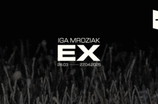 WYSTAWA / EX. Iga Mroziak