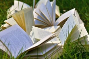 Kiermasz w Bibliotece Chełmionka