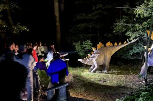 Noc muzeów w JuraParku Solec