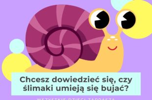 "Bujające się ślimaki" czyli Biblioteka Stare Miasto dla dzieci!