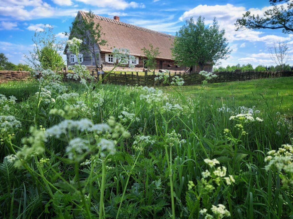 Olenderskie spotkania: Czerwiec w ogrodzie