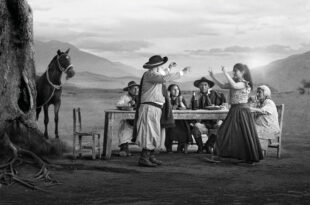 Gaucho Gaucho
