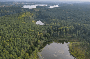 Kultura na świeżym: Wiosenne piesze Doładowanie Widokowe. Rezerwat Kuźnik