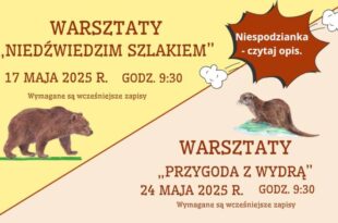 O niedźwiedziach i wydrach w maju