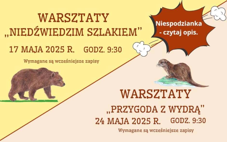 O niedźwiedziach i wydrach w maju