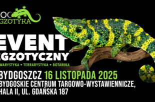 Targi Zooegzotyczne