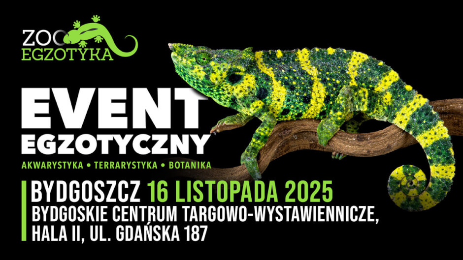 Targi Zooegzotyczne