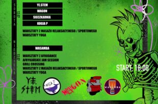 Festiwal Punk i Vege