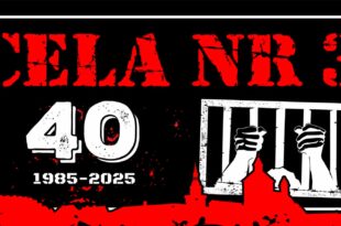 Cela nr 3 i goście – koncert punkrockowy