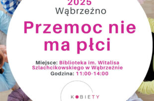 Konferencja "Przemoc nie ma płci"