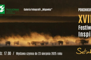 Pokonkursowa wystawa fotograficzna Międzynarodowego Festiwalu Sztuk Wizualnych Inspirowanych Naturą „Sztuka Natury”