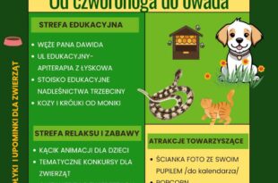 "Od czworonoga do owada" Dzień Zwierzaka w Cekcynie