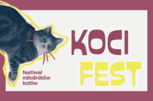Koci Fest 2025