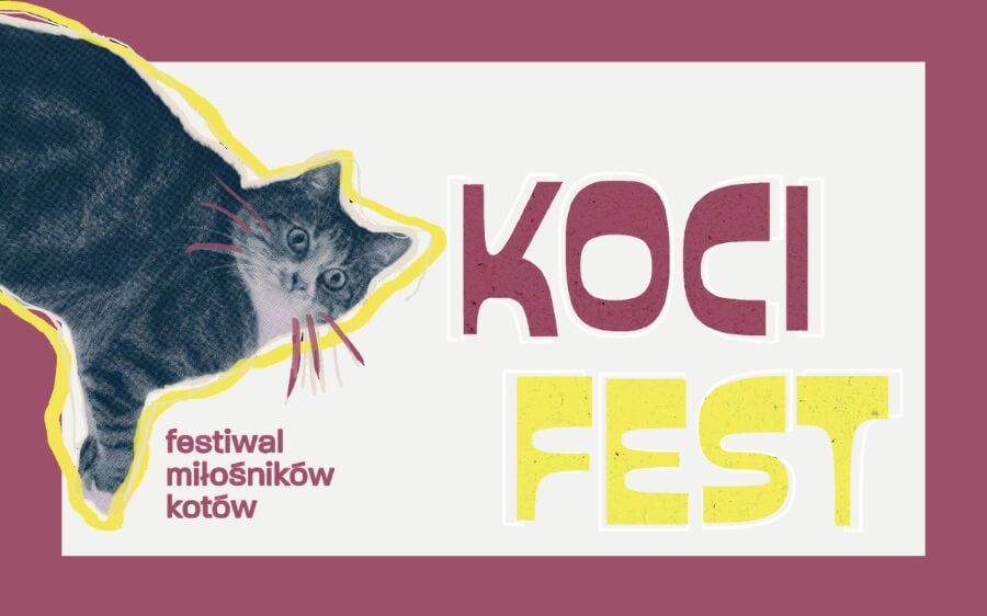 Koci Fest 2025