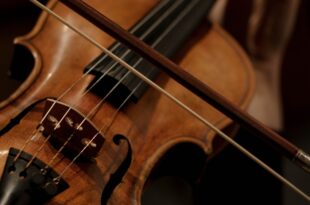 Młyny na lato: Różne oblicza skrzypiec, Łukasz Sylwestrzak – koncert na tarasie
