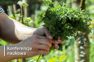 Pamiętajcie o ogrodach - Interdyscyplinarna Konferencja Naukowa