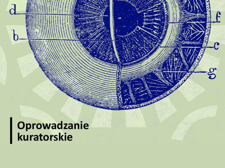 Oprowadzanie kuratorskie po wystawie