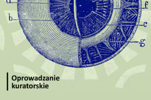 Oprowadzanie kuratorskie po wystawie "Tajemnice wzroku"