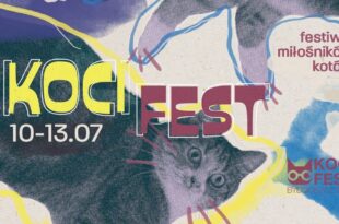 Festiwal KOCI FEST 2025