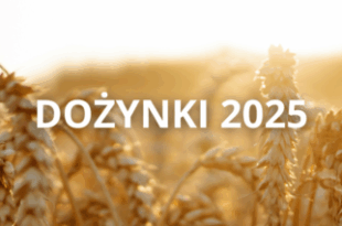 Dożynki 2025