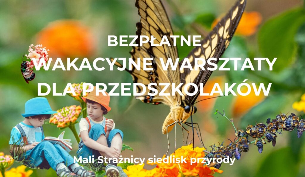„Mali Strażnicy siedlisk przyrody” – bezpłatne warsztaty ekologiczne
