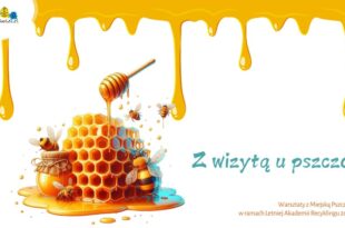 Z wizytą u pszczół – warsztaty z Miejską Pszczołą