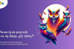 Nocne życie przyrody – co się dzieje, gdy śpimy? Miniwykład i warsztaty recyklingowe
