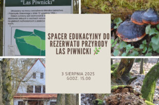 Spacer edukacyjny w Rezerwacie Przyrody Las Piwnicki