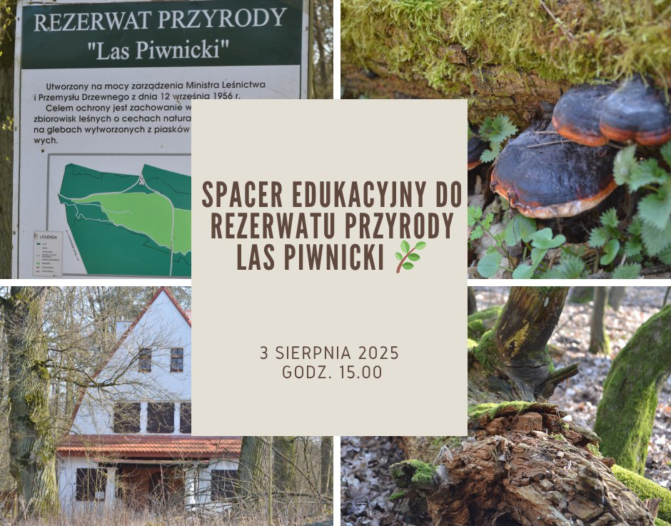Spacer edukacyjny w Rezerwacie Przyrody Las Piwnicki