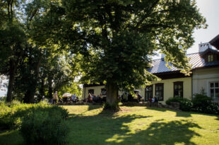 „Muzyczny koktajl pod lipą”