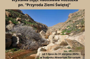 Wystawa zdjęć Radosława Kożuszka pn. ”Przyroda Ziemi Świętej”