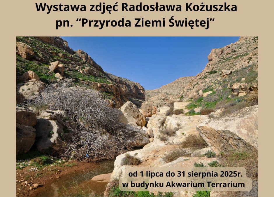 Wystawa zdjęć Radosława Kożuszka pn. ”Przyroda Ziemi Świętej”
