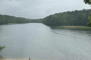 Mała kultura na świeżym. PoParkuj 7: Janowo