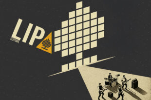 17. Festiwal Lipa