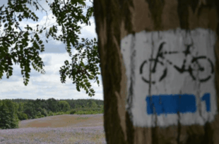 Kultura na świeżym: Wielkopolska