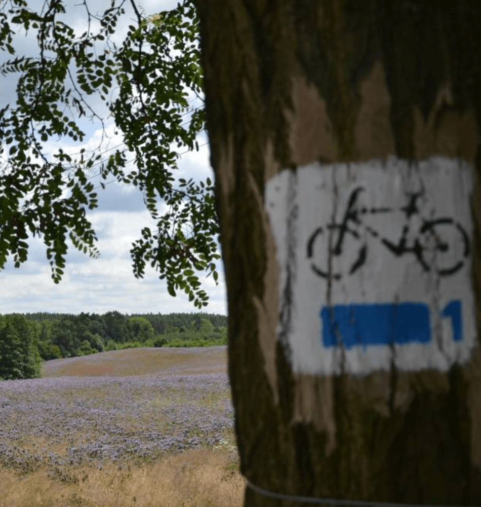 Kultura na świeżym: Wielkopolska