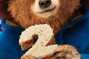 Paddington 2 - Kino za friko! (seanse darmowe, niebiletowane)