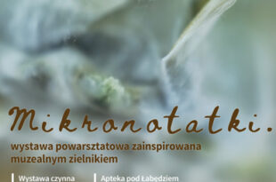 Mikronotatki