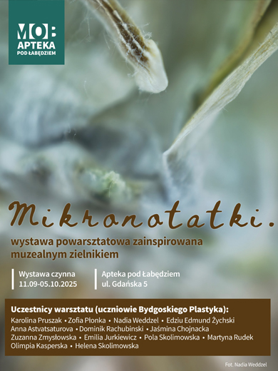 Mikronotatki